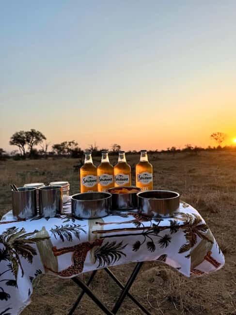 Hoedspruit: Evening Safari In Greater Kruger Private Reserve - A Detailed Look at the Experience