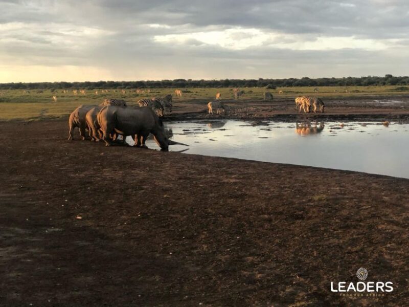 Hoedspruit: Private Kruger National Park Full-Day Safari - The Value of a Private Full-Day Safari