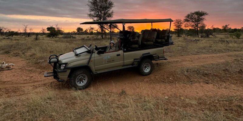 Hoedspruit: Sunrise Safari in Greater Kruger Private Reserve - The Bush Coffee Break: A Quiet Moment in Nature