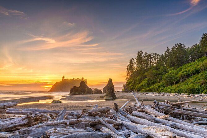 Hoh Rain Forest and Rialto Beach Guided Tour in Olympic National Park - An In-Depth Look at the Hoh Rain Forest and Rialto Beach Tour