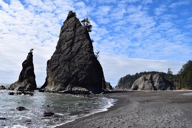 Hoh Rain Forest and Rialto Beach Guided Tour in Olympic National Park - Final Thoughts: Is This Tour Worth It?