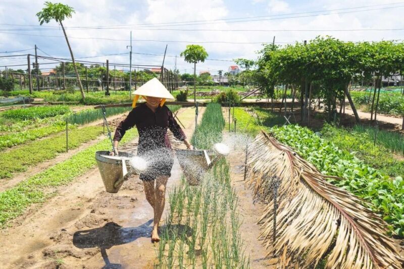 Hoi An: Authentic Cooking class in organic Herb Village - Key Points