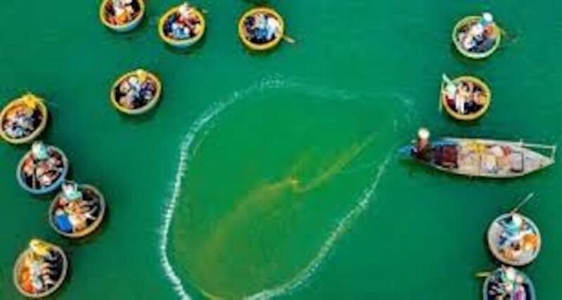Hoi An: Basket Boat Ride in the Coconut Forest - Key Points