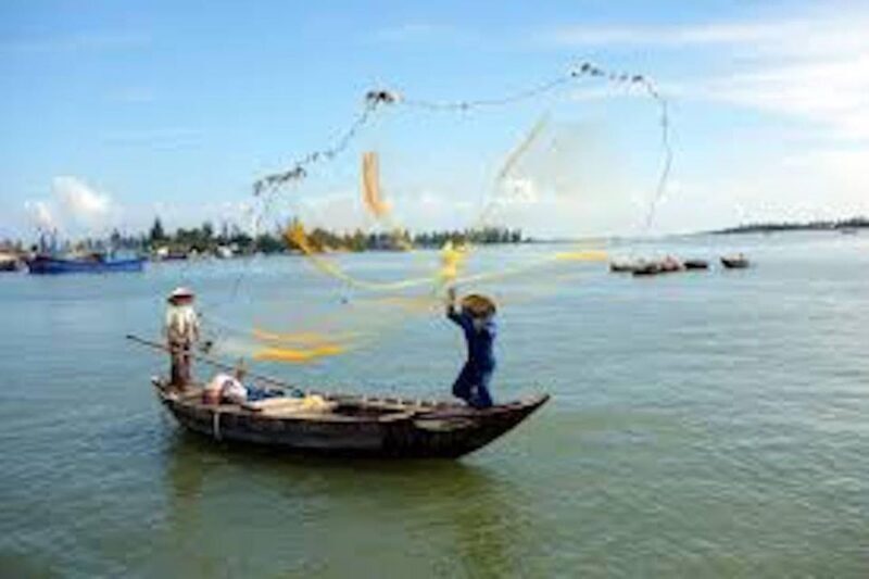 Hoi An: Basket Boat Ride in the Coconut Forest - An In-Depth Look at the Experience