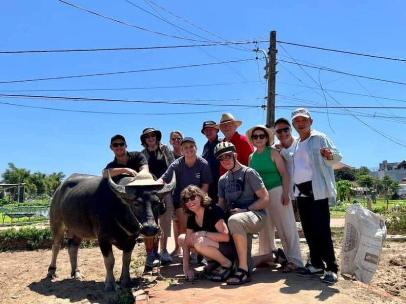 Hoi An: Biking- Basket Boat - Farming &Cooking Class Tra Que - Key Points