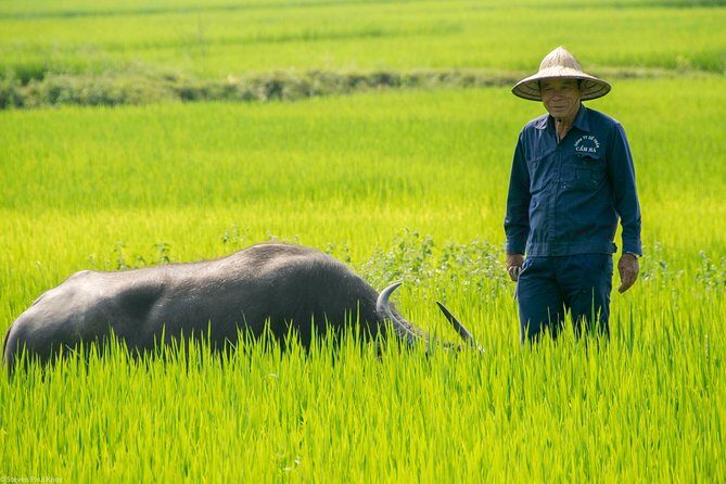 HOI AN Biking River Islands, Villages, Local Crafts PRIVATE TOUR - FAQ