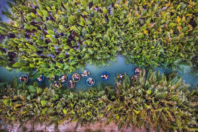 Hoi An City Day Tours - In-Depth Look at the Tour Experience