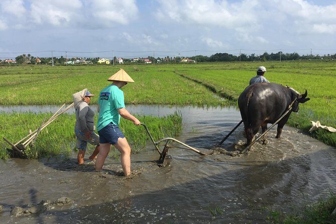 Hoi An Countrylife Tour Experience & Vietnamese Set Menu - Key Points