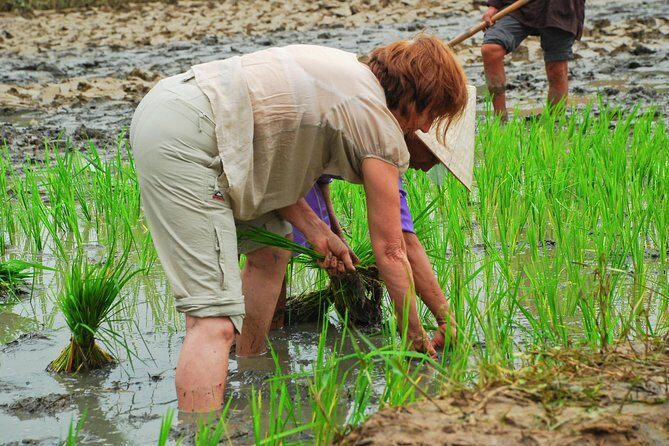Hoi An Countrylife Tour Experience & Vietnamese Set Menu - FAQs