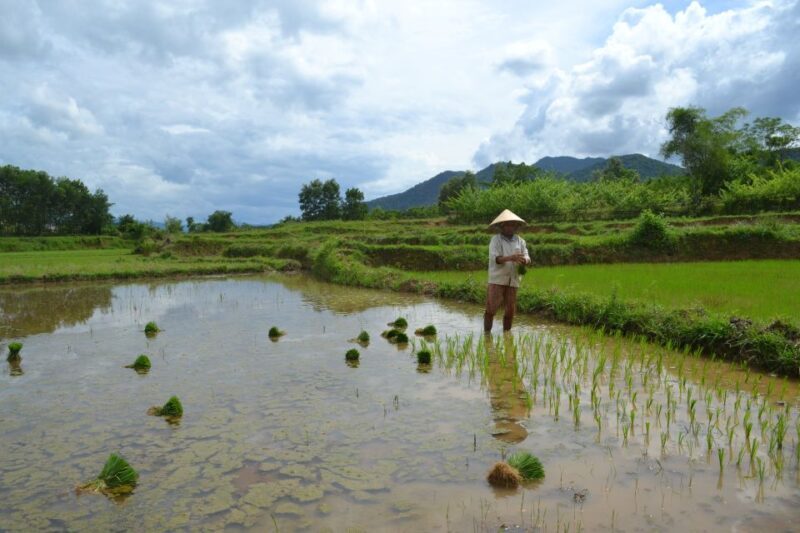 Hoi An Countryside Bicycle Tour : 25 Km Real Vietnam - Exploring the Hoi An Countryside Bicycle Tour: A Genuine Vietnam Experience