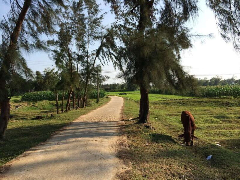 Hoi An: Countryside bike tour to Kim Bong village - FAQs
