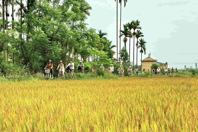 Hoi An Countryside bike tour to Kim Bong village - An In-Depth Look at the Tour