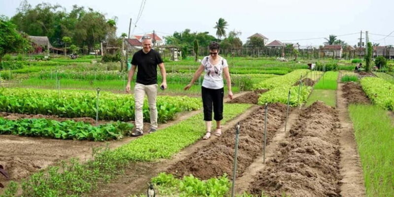 Hoi An: Countryside Biking- Cooking Class in Tra Que Village - Frequently Asked Questions