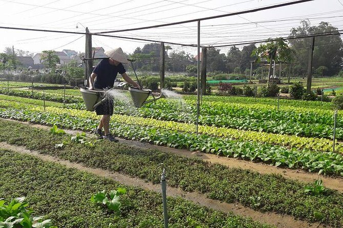 Hoi An Countryside Biking Tour(Vegetable village -basket boat - fishing village) - Returning to Hoi An