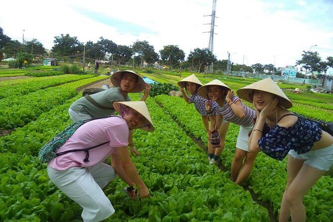 Hoi An Countryside - Buffalo Riding - Basket Boat Rowing - A Closer Look at the Itinerary