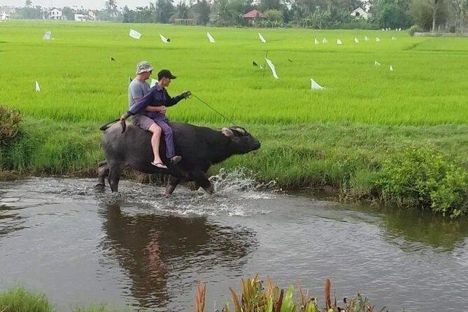 Hoi An Countryside - Buffalo Riding - Basket Boat Rowing - What’s Included in the Price?