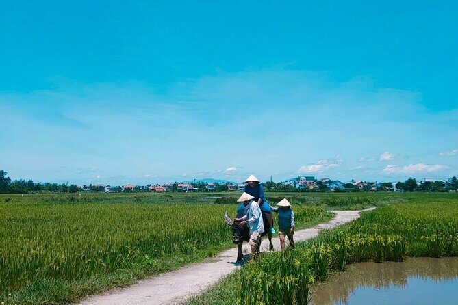 Hoi An Countryside - Buffalo Riding - Basket Boat Rowing - Authentic Experiences that Make this Tour Stand Out