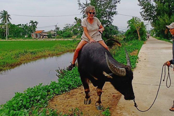 Hoi An Countryside & Cultural Gallery Ethnic Group - Private Tour - FAQ