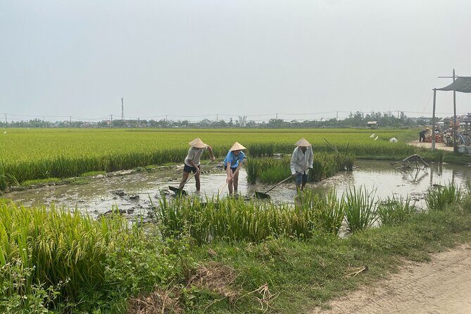 Hoi An Countryside Vespa Tour: Food, Culture & Daily Life - FAQ