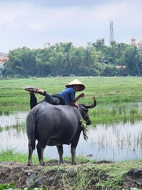 Hoi An: Countryside Villages and River Islands Private Tour - Hoi An: Countryside Villages and River Islands Private Tour – A Detailed Look