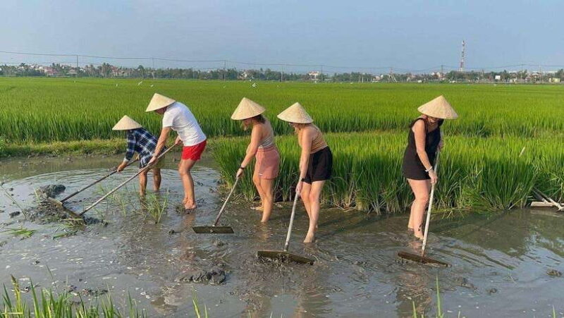 Hoi An: Cycling, buffalo riding,be a Farmer and Fisher man - Who Will Love This Tour?