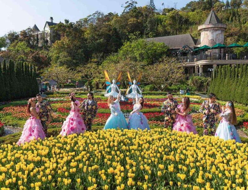 Hoi An/Da Nang: Ba Na Hills and Golden Bridge Afternoon Tour - Who This Tour Is Perfect For