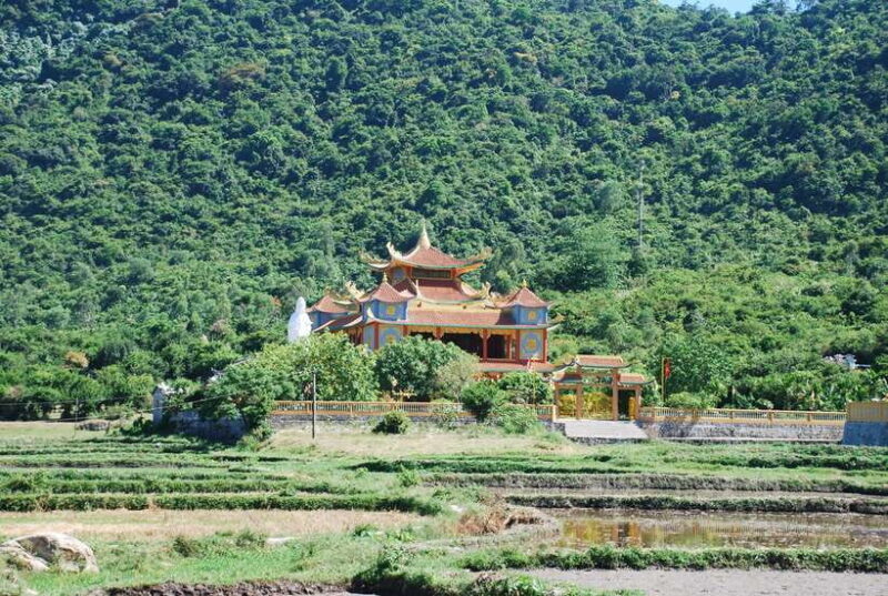 Hoi An/ Da Nang: Cham Island Discovery Tour - A Detailed Look at the Cham Island Discovery Tour