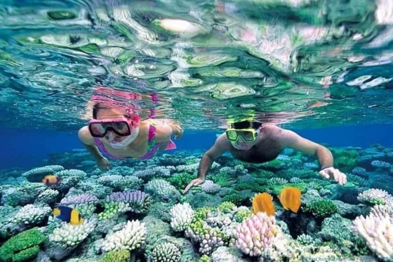 Hoi An/Da Nang: Cham Islands Snorkeling by Speedboat w Lunch - How the Tour Unfolds