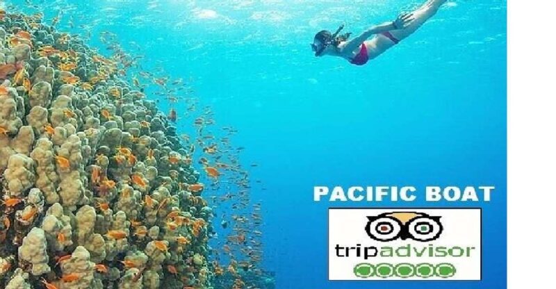 Hoi An/Da Nang: Snorkelling & Island-Hopping Speedboat Tour - What’s Included & What’s Not