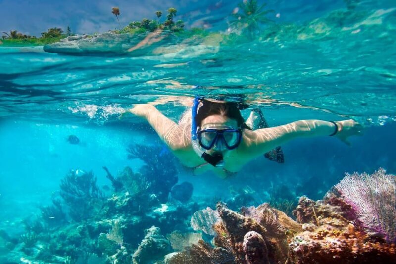 Hoi An/Da Nang:Cham Island Daily Tour-Snorkeling Experience - Who Should Consider This Tour?