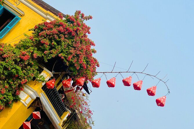 Hoi An Day Trip From Da Nang with Coconut Forest and Hoi An Town. - Practicalities and Value
