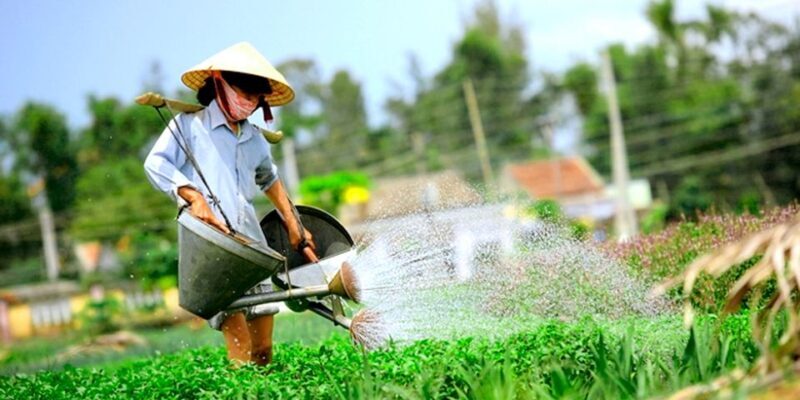 Hoi An: Evening Cooking Class with Locals in Herbs Village - Key Points