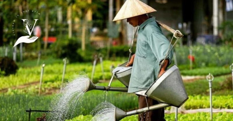 Hoi An Food Tour - Street Eats And Hoi An Hidden Gems - Who Should Consider This Tour?