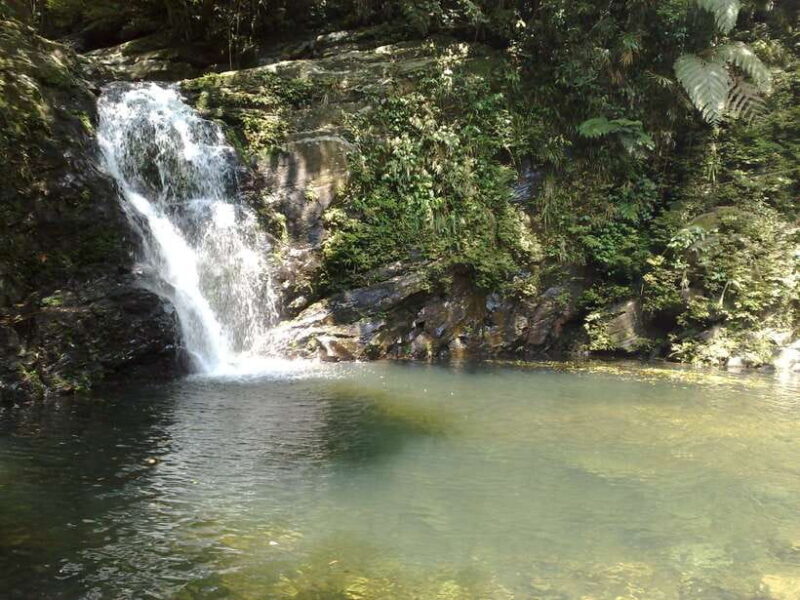 Hoi An: Full-day Bach Ma National Park Trek & Beach Retreat - Final Thoughts: Who Should Book This Tour?
