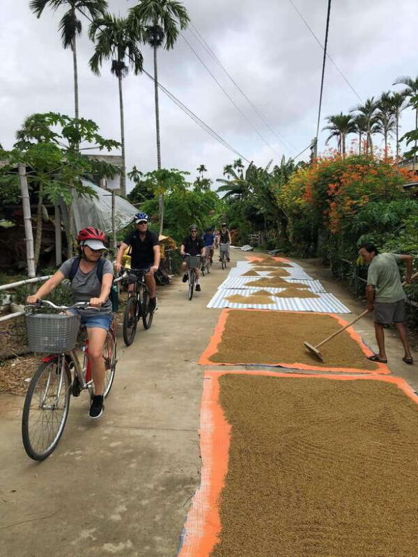 Hoi An: Half-Day Bike Tour with Local Guide - Key Points