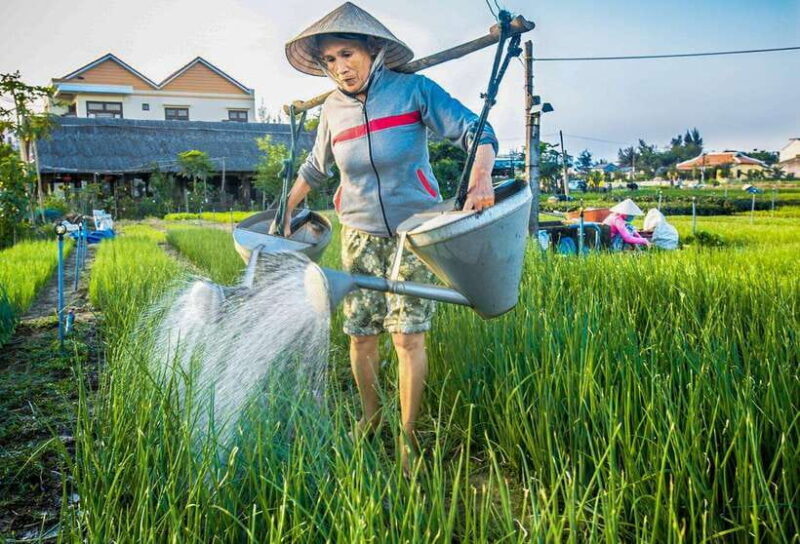 Hoi An: Half-day Farm To Table Adventure In Tra Que Village - The Bottom Line