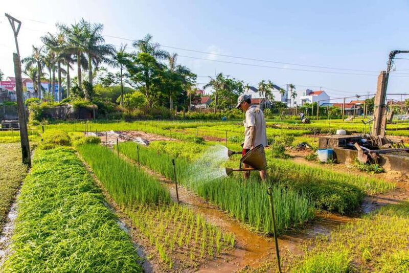 Hoi An: Half-day Farm To Table Adventure In Tra Que Village - FAQ