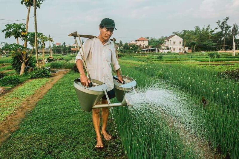 Hoi An: Half-day Farm To Table Adventure In Tra Que Village - Final Thoughts
