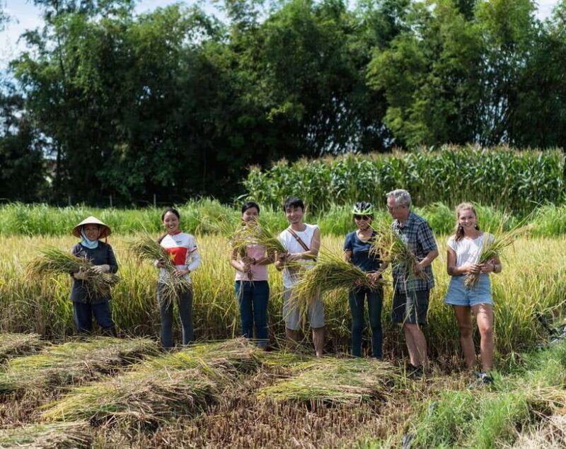 Hoi An: Morning Countryside Tour by Bike - An In-Depth Look at the Hoi An Countryside Bike Tour