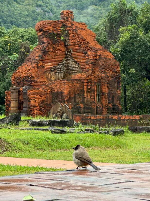 Hoi An: My Son Sanctuary Private Tour with Local Guide - An In-Depth Look at the Tour Experience