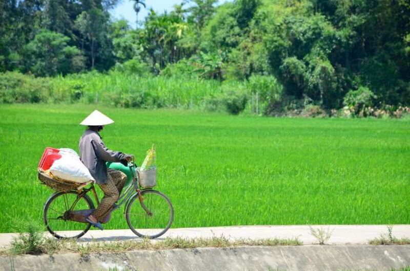 Hoi An: Private Cycling to My Son Sanctuary with Local Guide - An In-Depth Look at the Hoi An: Private Cycling to My Son Sanctuary Tour