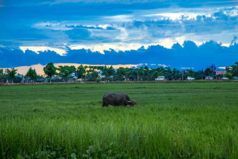 Hoi An: Private Evening Food Tour by Bike - Practical Details and Tips