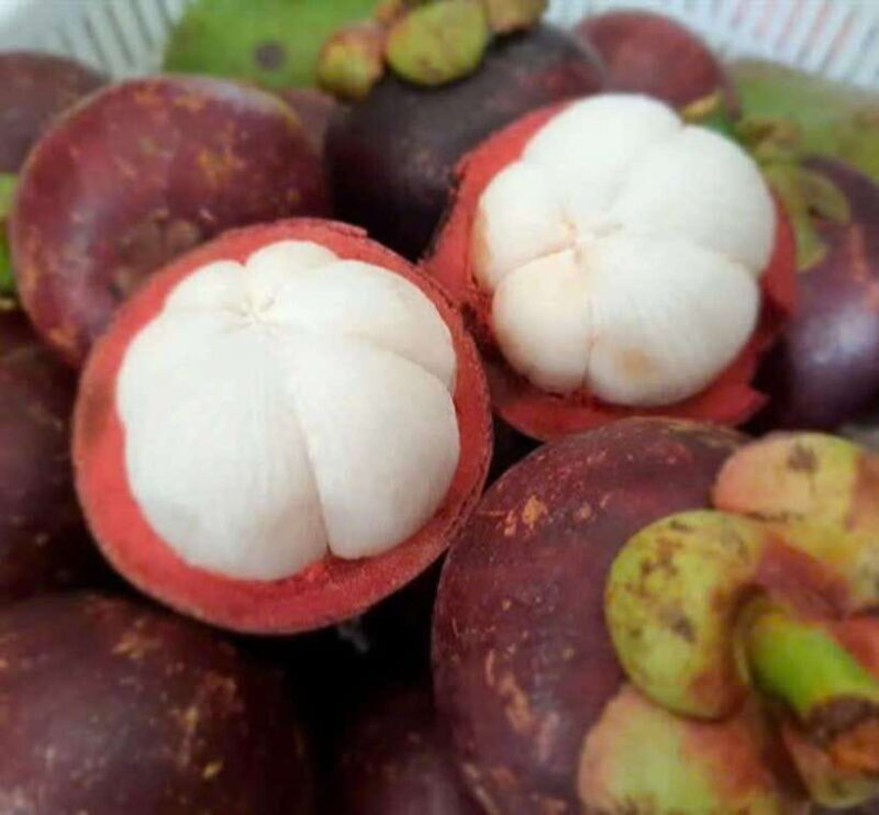 Hoi An seafood, tropical fruits tasting and making lantern. - An In-Depth Look at the Hoi An Seafood, Fruits, & Lantern Tour