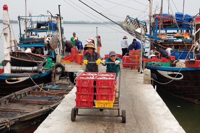 Hoi An Sunrise Private Half Day Tour - An In-Depth Look at the Tour Experience