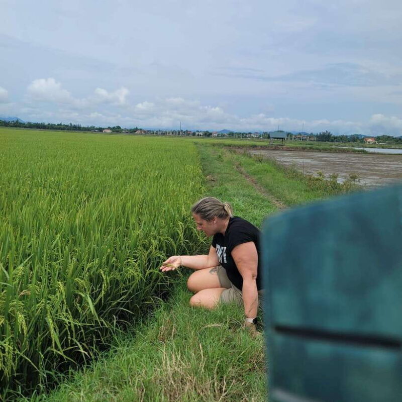 HOI AN TO HUE VIA HAI VAN PASS BY EASY RIDER - What to Consider Before Booking