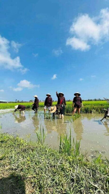 Hoi An Wet Rice Farming Tour-Basket Boat Tour Fishing-Lunch - A Closer Look at the Experience