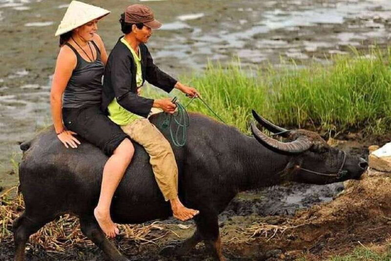 Hoi An Wet Rice Farming Tour-Basket Boat Tour Fishing-Lunch - The Real Value: Who Should Consider This Tour?
