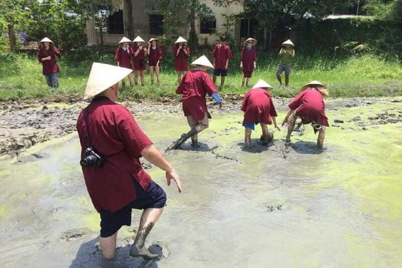 Hoi An Wet Rice Farming Tour-Basket Boat Tour Fishing-Lunch - Final Thoughts