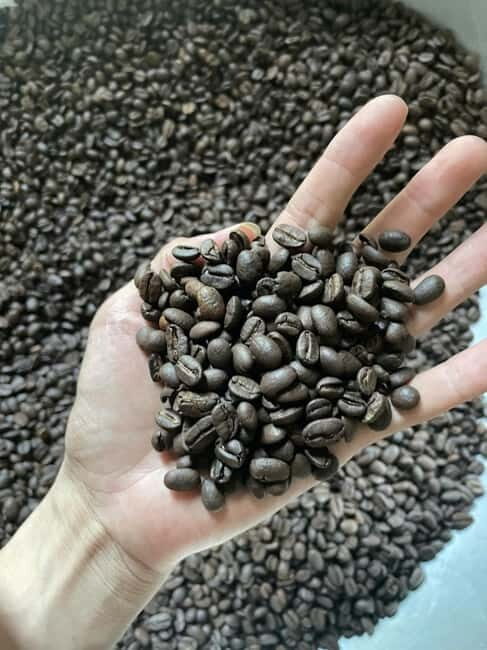 Hoi An:Coffee Making Class (Coffee: egg, Salt, Coconut, ...) - Key Points