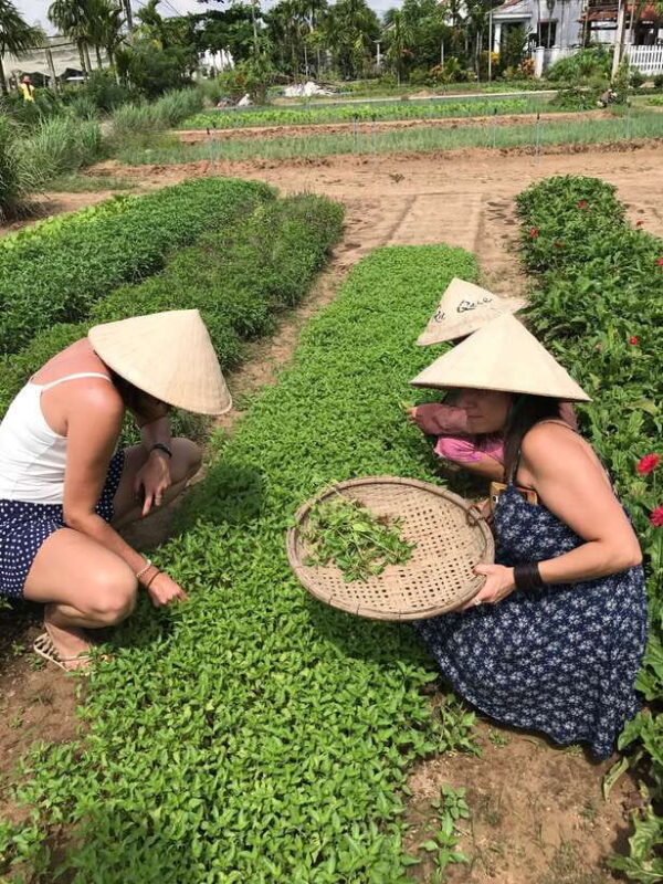 Hoian/Da Nang: Fishing, basket riding and cooking class - Key Points